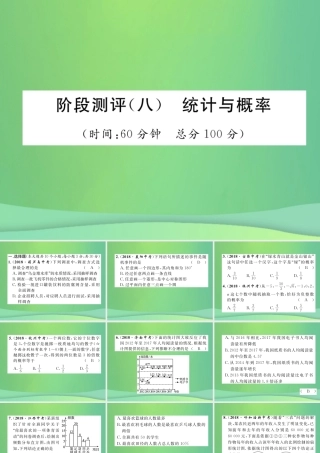 中考数学复习 第8章 统计与概率阶段测评(八)统计与概率(精练)课件