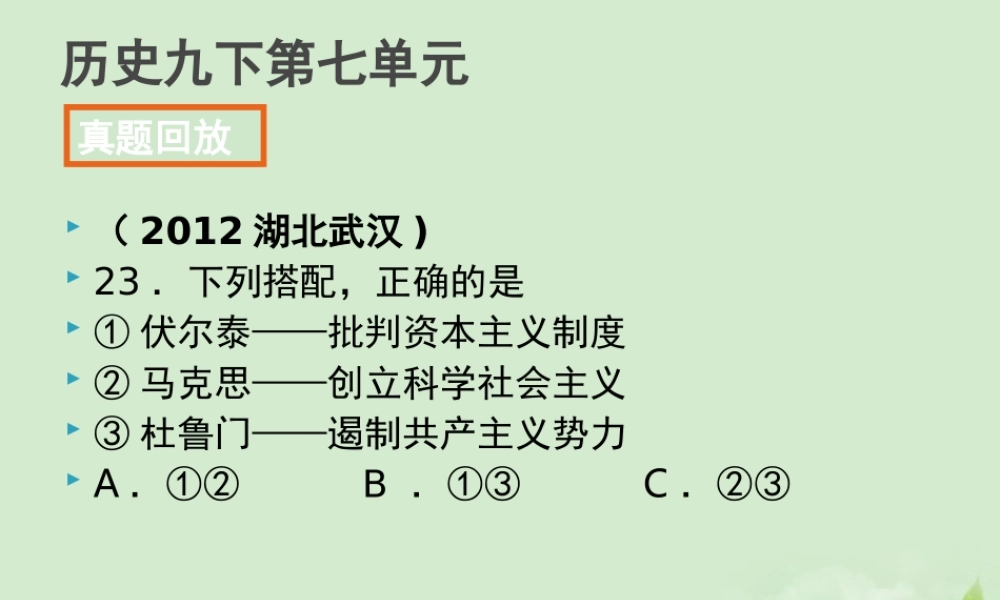 全国各地中考历史试题分册分单元精选汇编 九下 第七单元课件-2