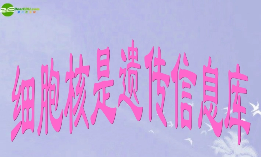 七年级生物上册 细胞核是遗传信息库课件 人教新课标版 课件