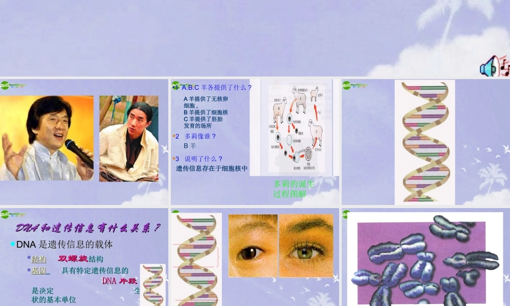 七年级生物上册 细胞核是遗传信息库课件 人教新课标版 课件