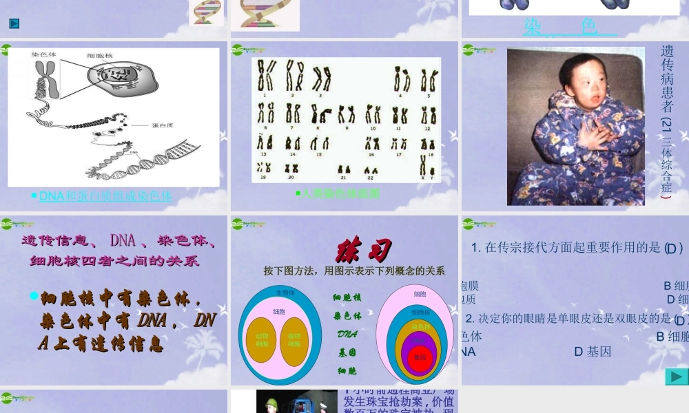 七年级生物上册 细胞核是遗传信息库课件 人教新课标版 课件