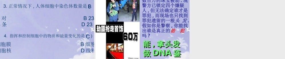 七年级生物上册 细胞核是遗传信息库课件 人教新课标版 课件