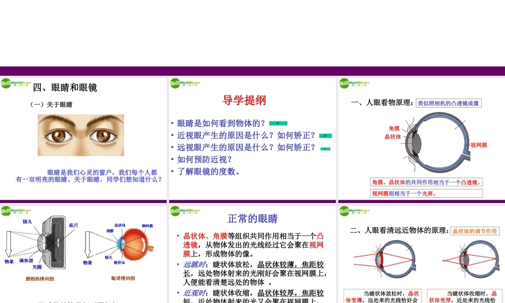 八年级物理上册 第三节眼睛和眼镜课件 人教新课标版 课件