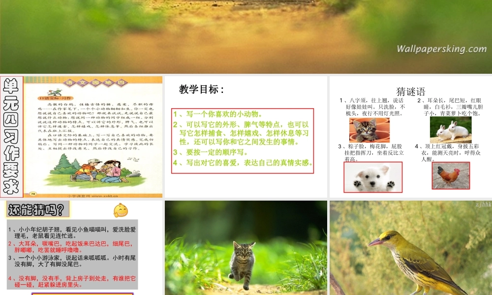 第四单元作文(讲课用)