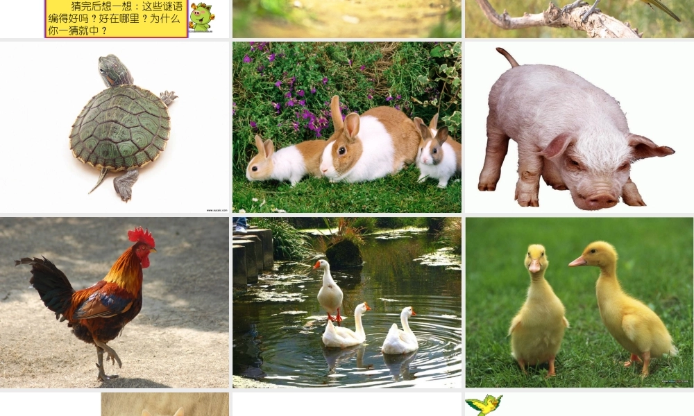 第四单元作文(讲课用)