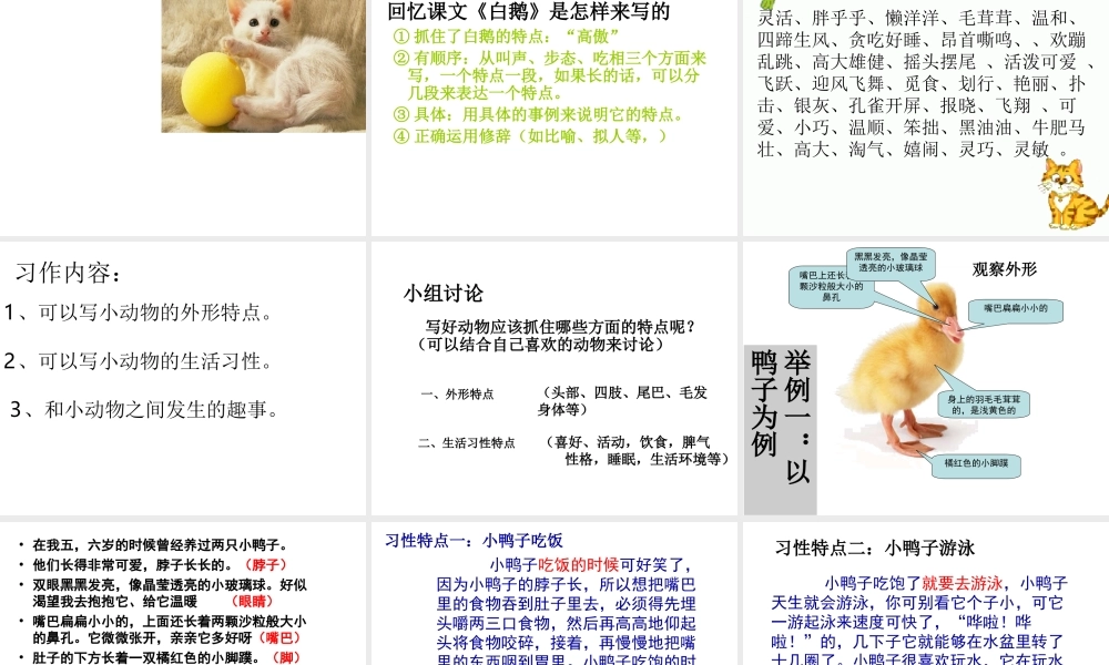 第四单元作文(讲课用)