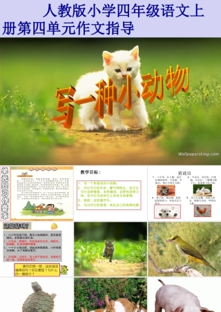 第四单元作文(讲课用)