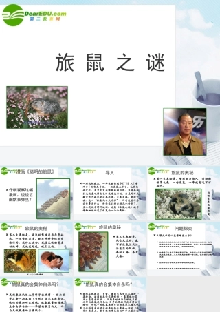 七年级语文上册第21课(旅鼠之谜)课件鲁教版 课件