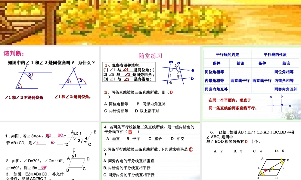 八年级数学第一章平行线总复习课件 浙教版 课件