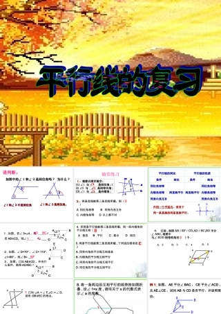 八年级数学第一章平行线总复习课件 浙教版 课件