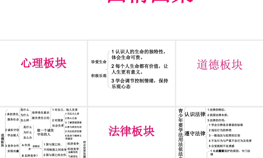 初三政治复习课件(重要)