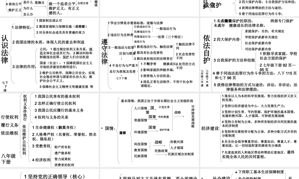 初三政治复习课件(重要)