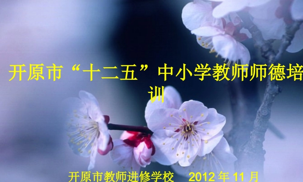 中小学教师师德培训 (2)