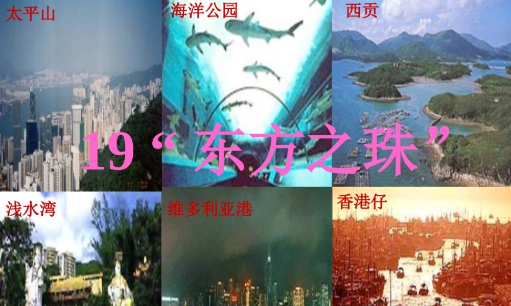 《“东方之珠”》3