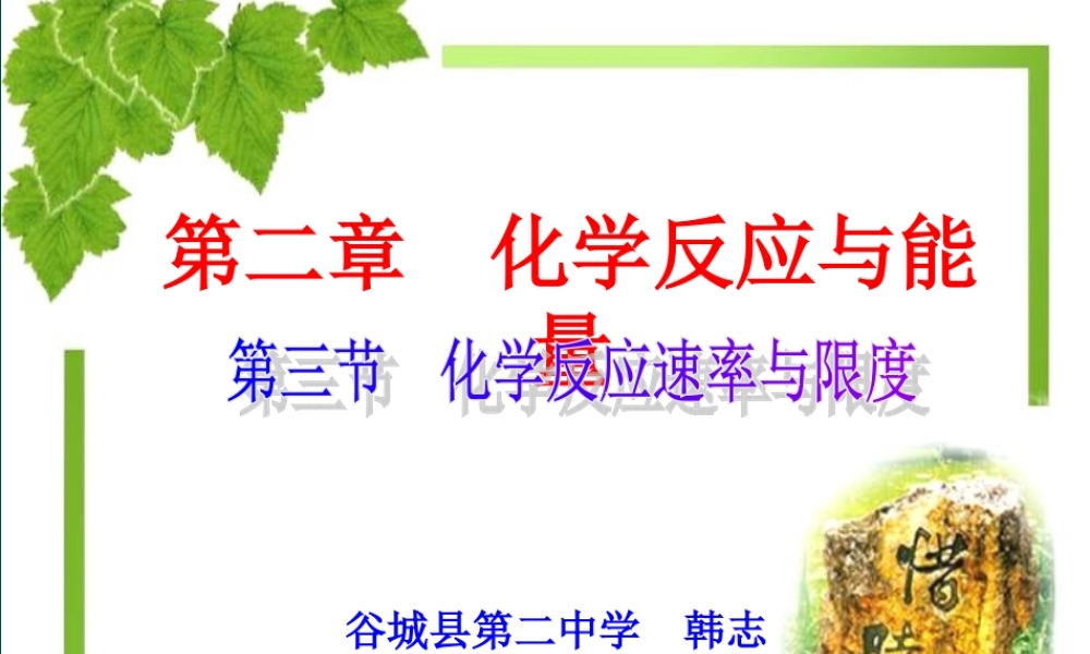 第2章第3节化学反应速率与限度