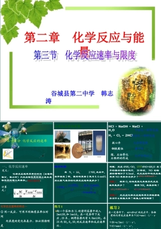 第2章第3节化学反应速率与限度