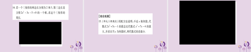 九年级数学上册 第2章 一元二次方程 22 一元二次方程的解法 221 配方法 第3课时 作业课件 (新版)湘教版 课件