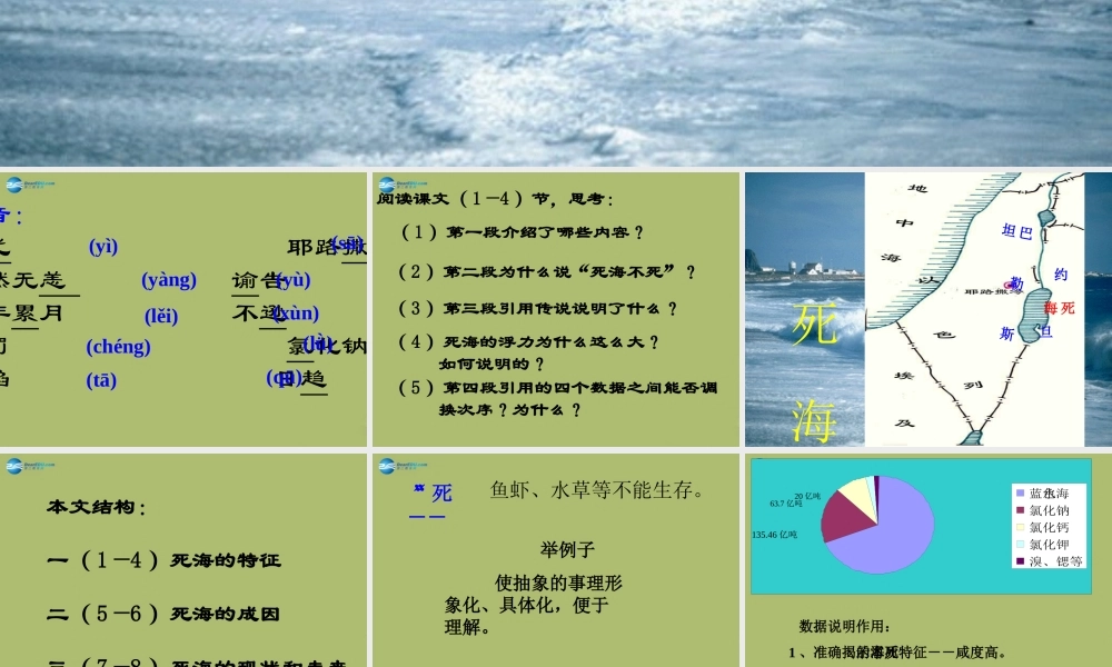 中学七年级语文上册 23 死海不死课件 鲁教版五四制 课件