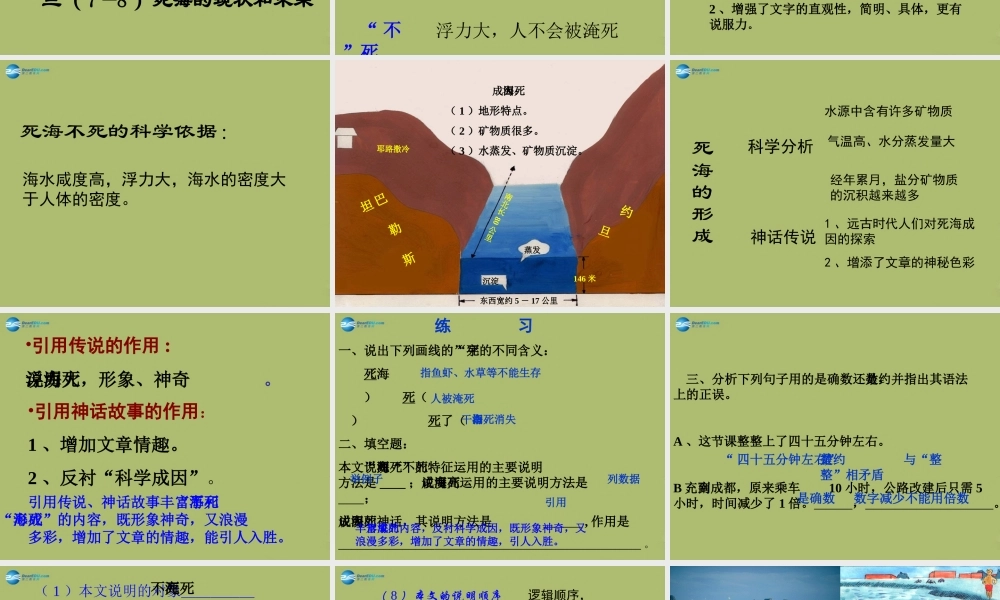 中学七年级语文上册 23 死海不死课件 鲁教版五四制 课件