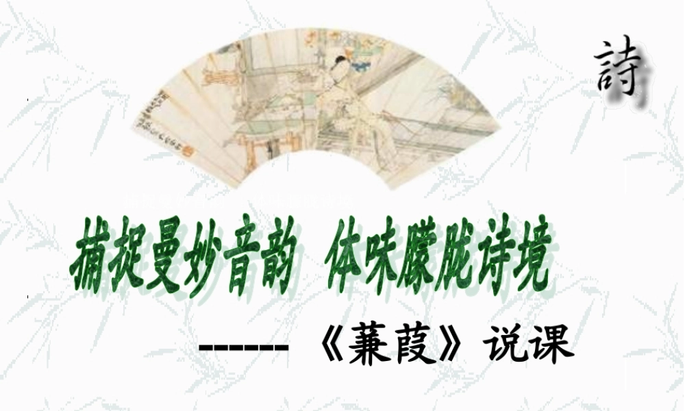 九年级语文下册 (蒹葭)课件 人教新课标版 课件