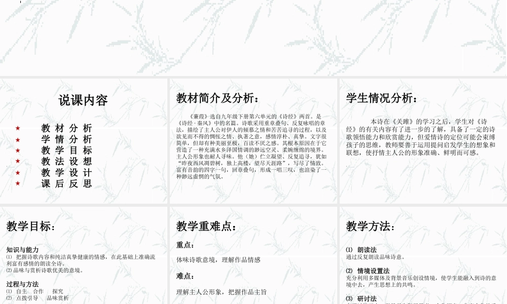 九年级语文下册 (蒹葭)课件 人教新课标版 课件