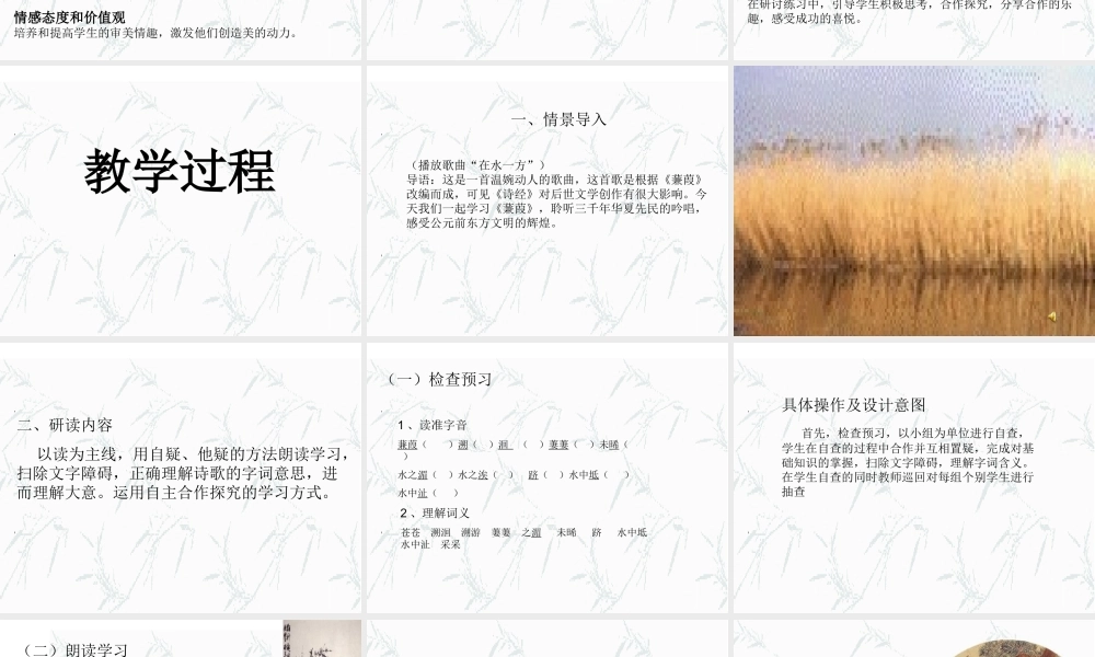 九年级语文下册 (蒹葭)课件 人教新课标版 课件