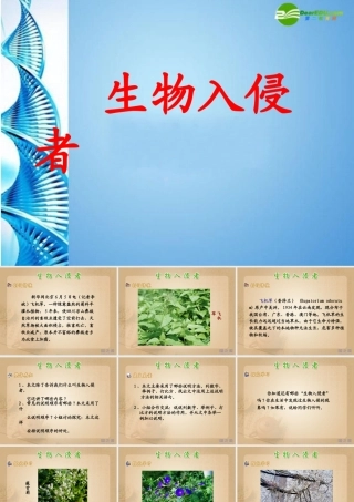 八年级语文上册 生物入侵者课件 人教新课标版 课件