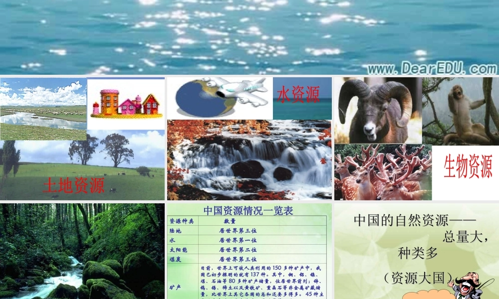九年级政治我国的资源和环境问题 课件