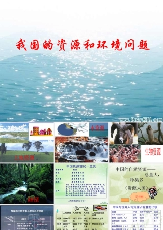 九年级政治我国的资源和环境问题 课件