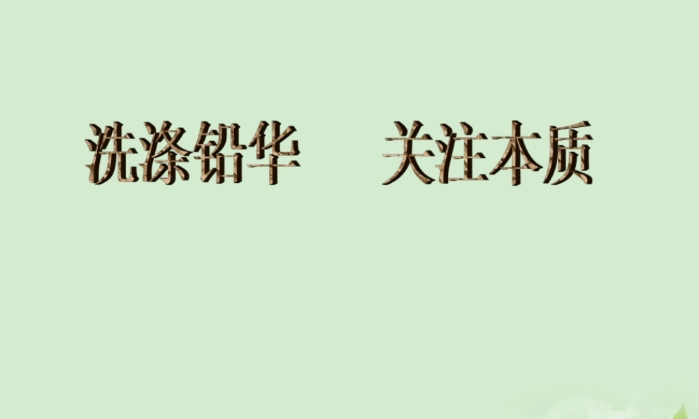 中考数学 洗涤铅华 关注本质复习课件 北师大版 课件