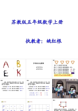 公开课姚红根