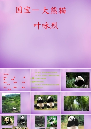 中学七年级语文下册(17 国宝—大熊猫)课件 (新版)苏教版 课件