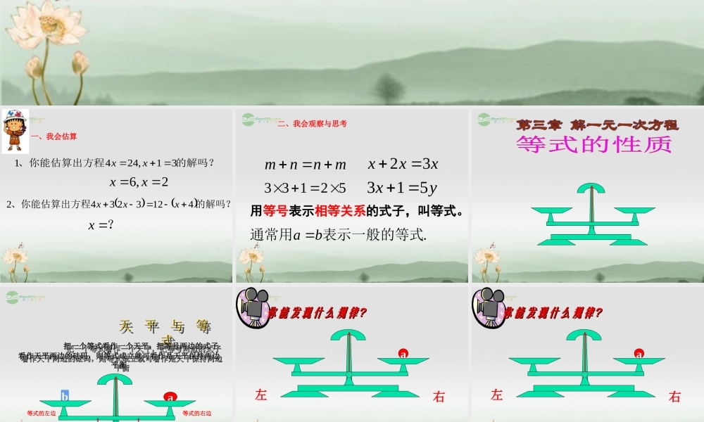 广东省珠海市七年级数学上册 等式的性质课件 新人教版 课件