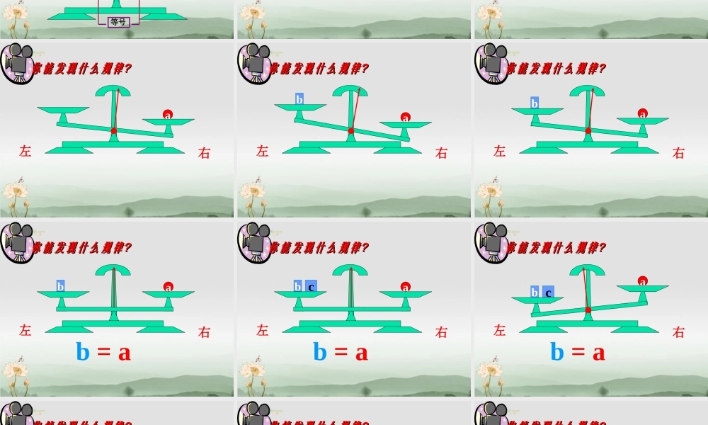 广东省珠海市七年级数学上册 等式的性质课件 新人教版 课件