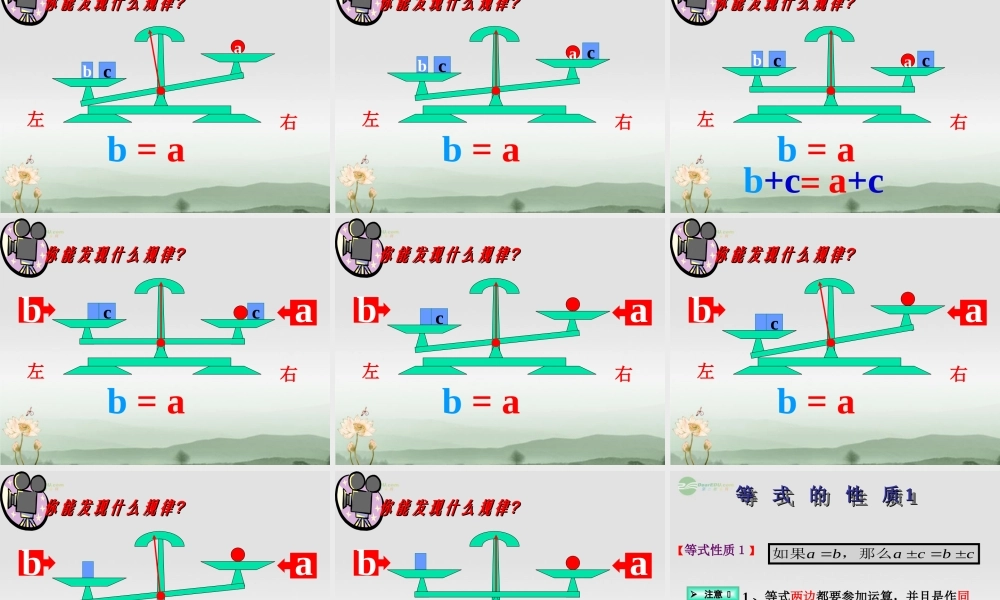 广东省珠海市七年级数学上册 等式的性质课件 新人教版 课件