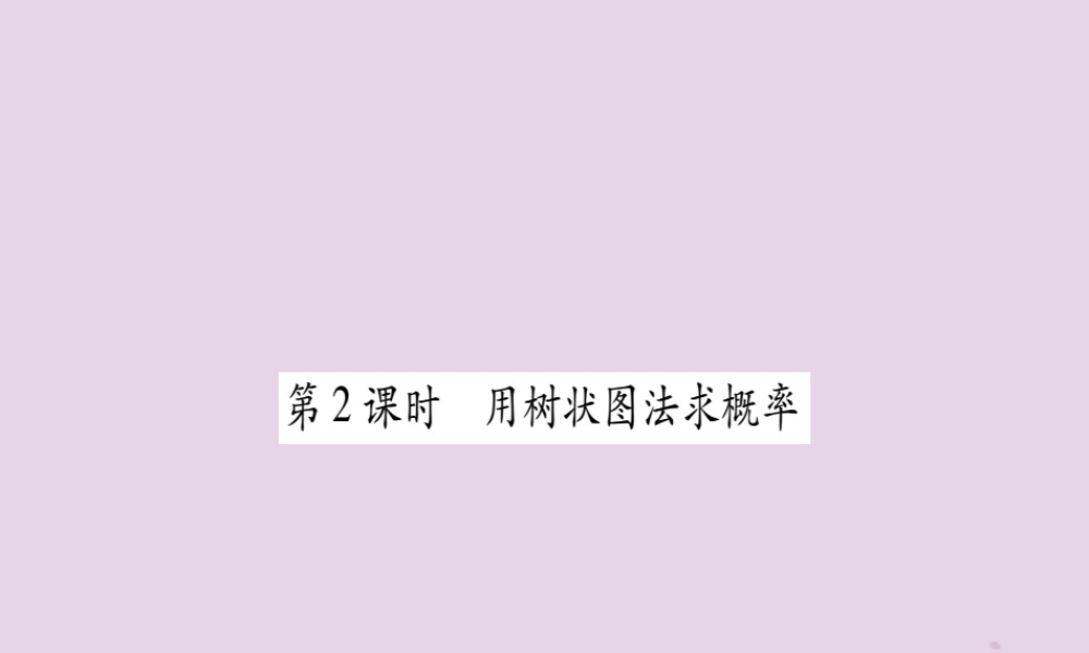 九年级数学上册 第二十五章 概率初步 252 用列举法求概率 第2课时作业课件 (新版)新人教版 课件