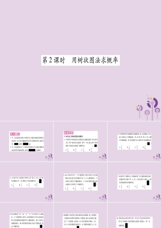 九年级数学上册 第二十五章 概率初步 252 用列举法求概率 第2课时作业课件 (新版)新人教版 课件