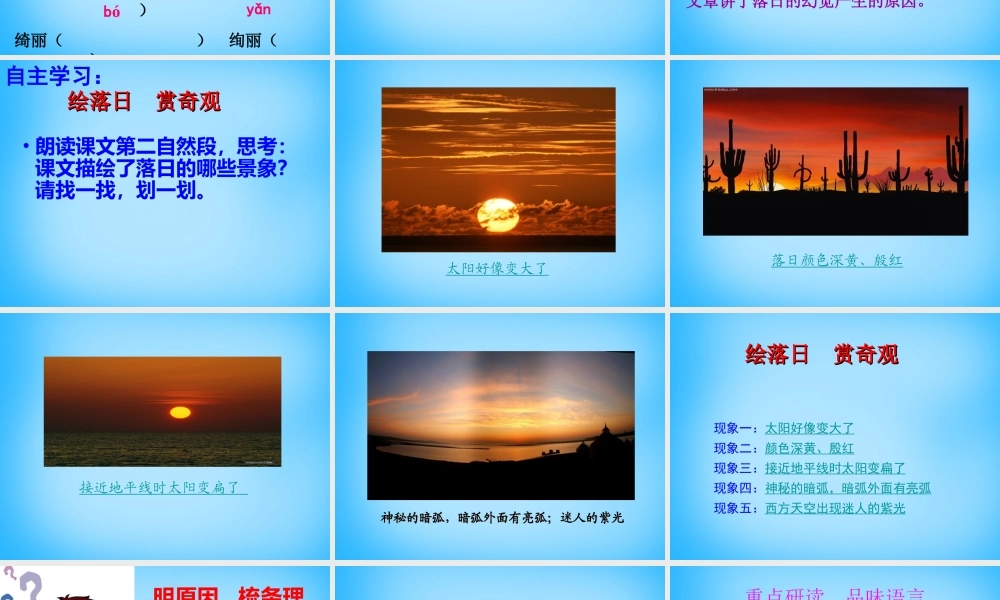 八年级语文上册 4.日的幻觉课件 新人教版 课件