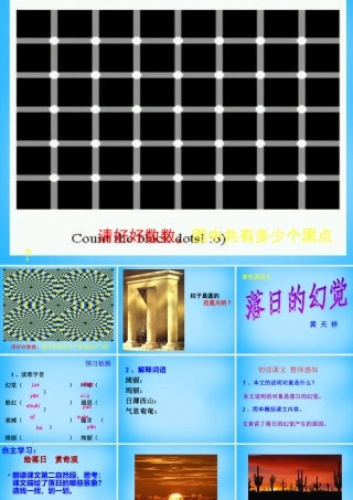 八年级语文上册 4.日的幻觉课件 新人教版 课件