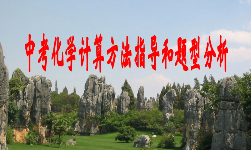 中考化学计算方法指导及题型分析课件