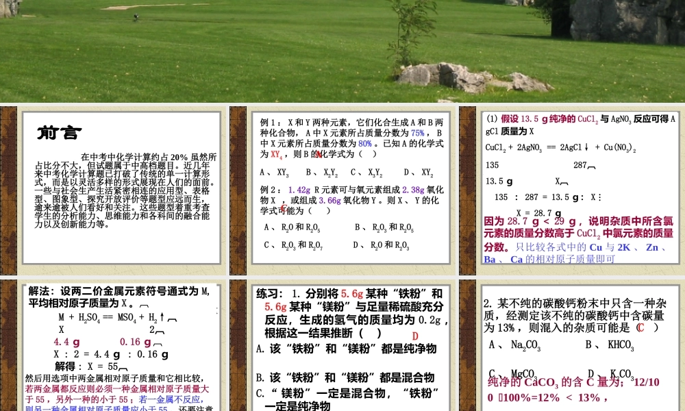 中考化学计算方法指导及题型分析课件