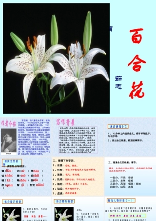 八年级语文下(百合花开)课件4河大版 课件