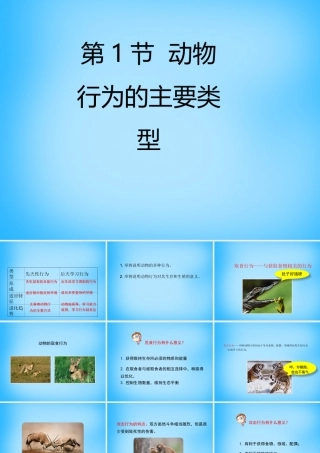 八年级生物上册 第16章 第2节(动物行为的主要类型)课件2 北师大版 课件