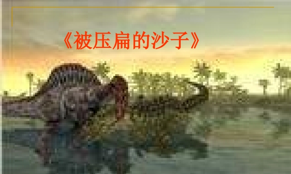 八年级语文被压扁的沙子1课件