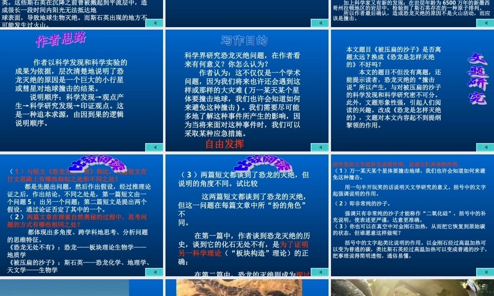 八年级语文被压扁的沙子1课件