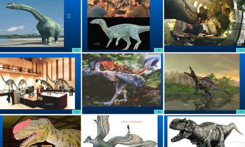 八年级语文被压扁的沙子1课件