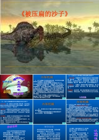 八年级语文被压扁的沙子1课件