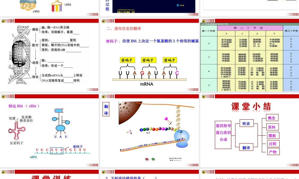 第1节基因指导蛋白质的合成