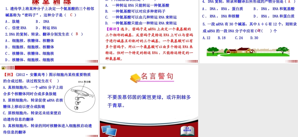 第1节基因指导蛋白质的合成