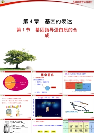第1节基因指导蛋白质的合成